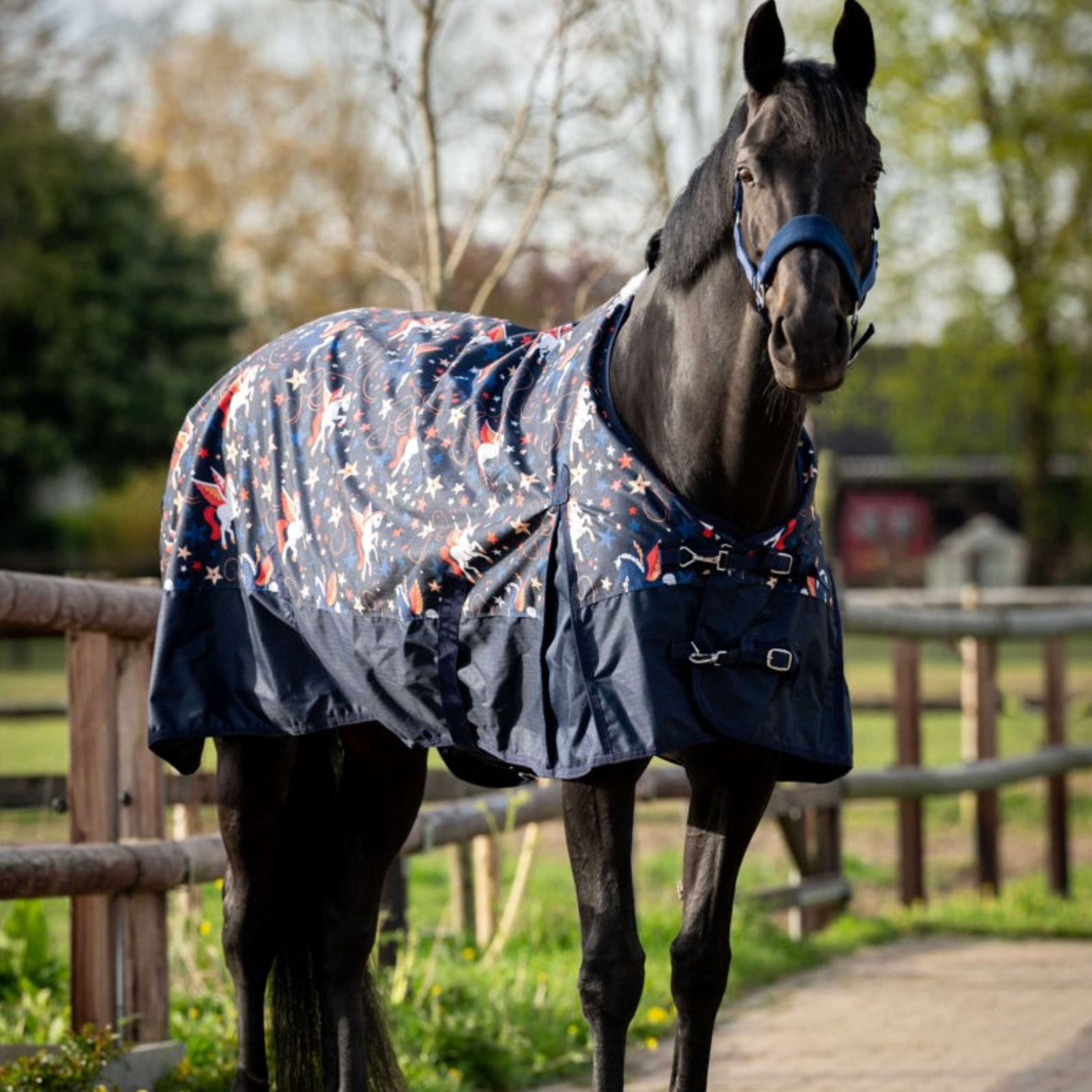 HB Outdoordecke navy flying horse