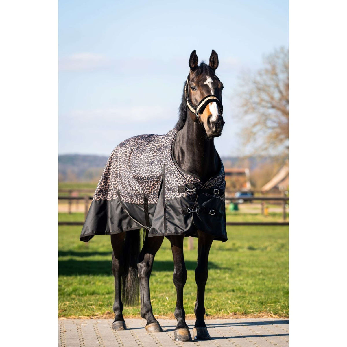 HB Outdoordecke Leopard 0g Leopard