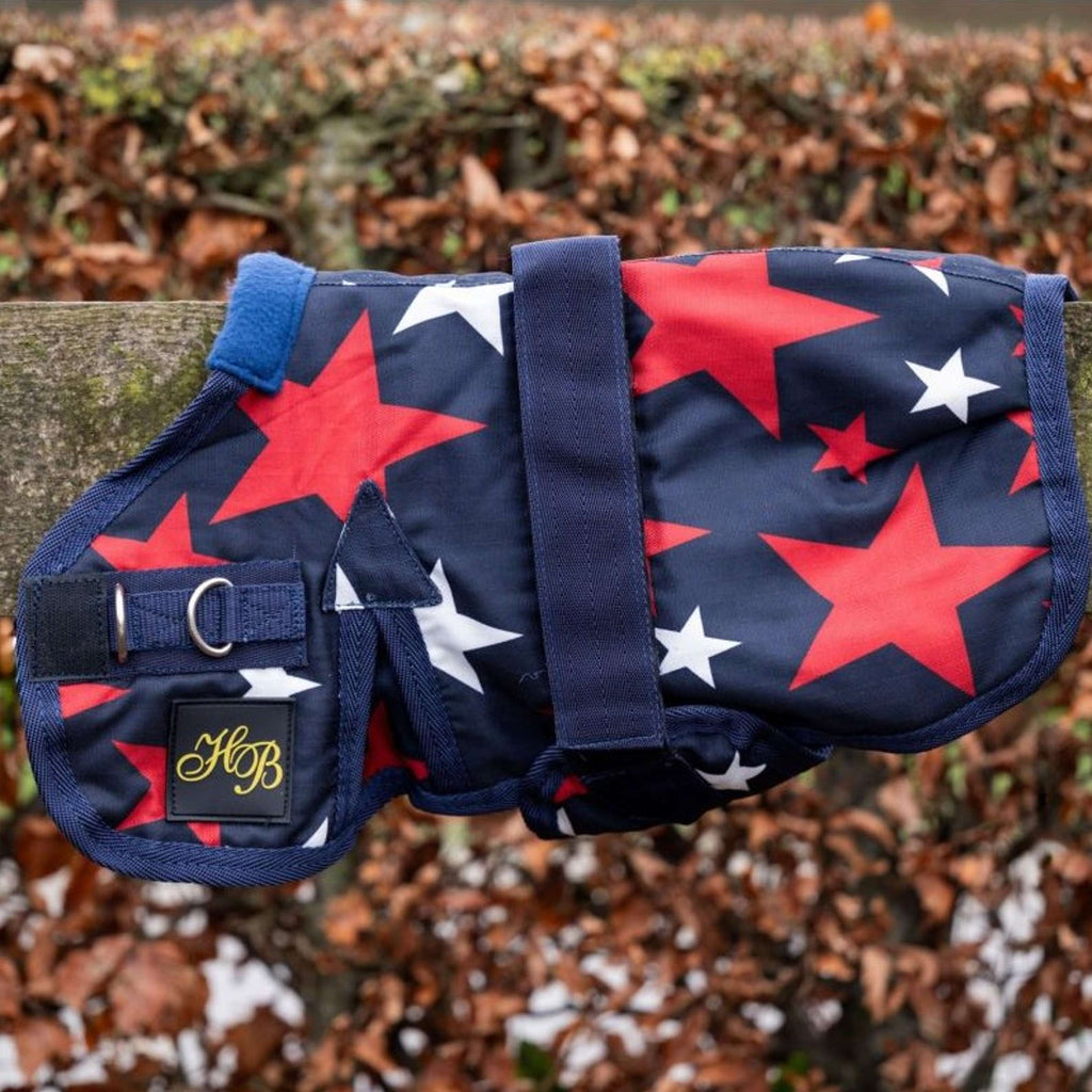 HB Fohlendecke Ukki Navy/Stars