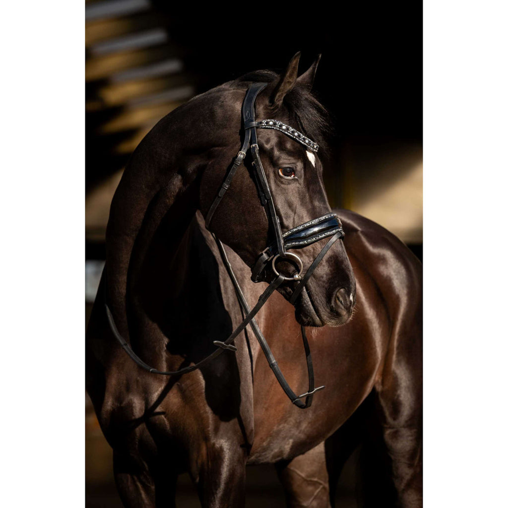HB Zaum Black River Schwarz