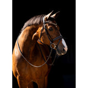 HB Zaum Jump Rocky Glitzer Braun