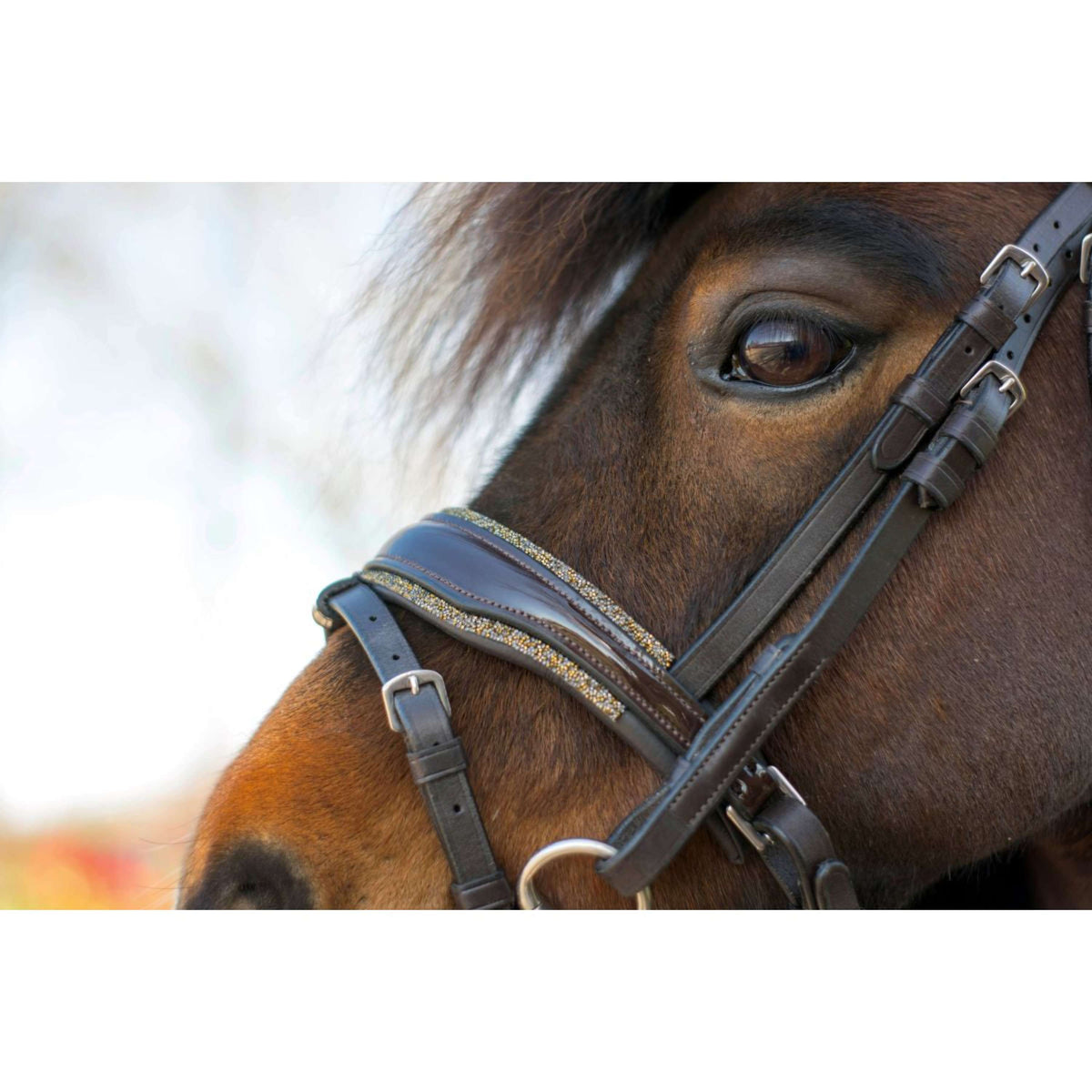 HB Zaum Rocky Glitzer Braun