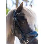 HB Zaum Rocky Glitzer/Schwarz