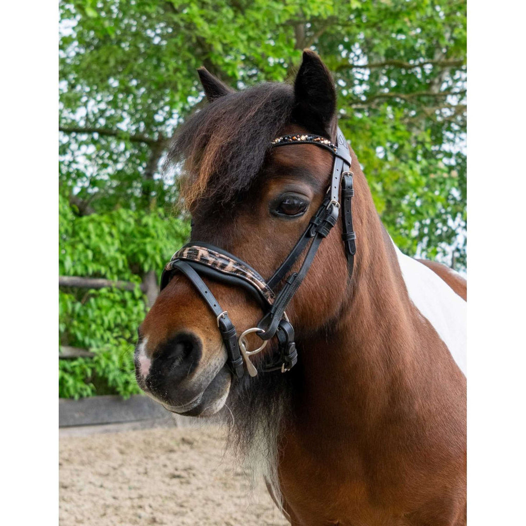 HB Ruitersport Zaum Showtime Leopard Schwarz