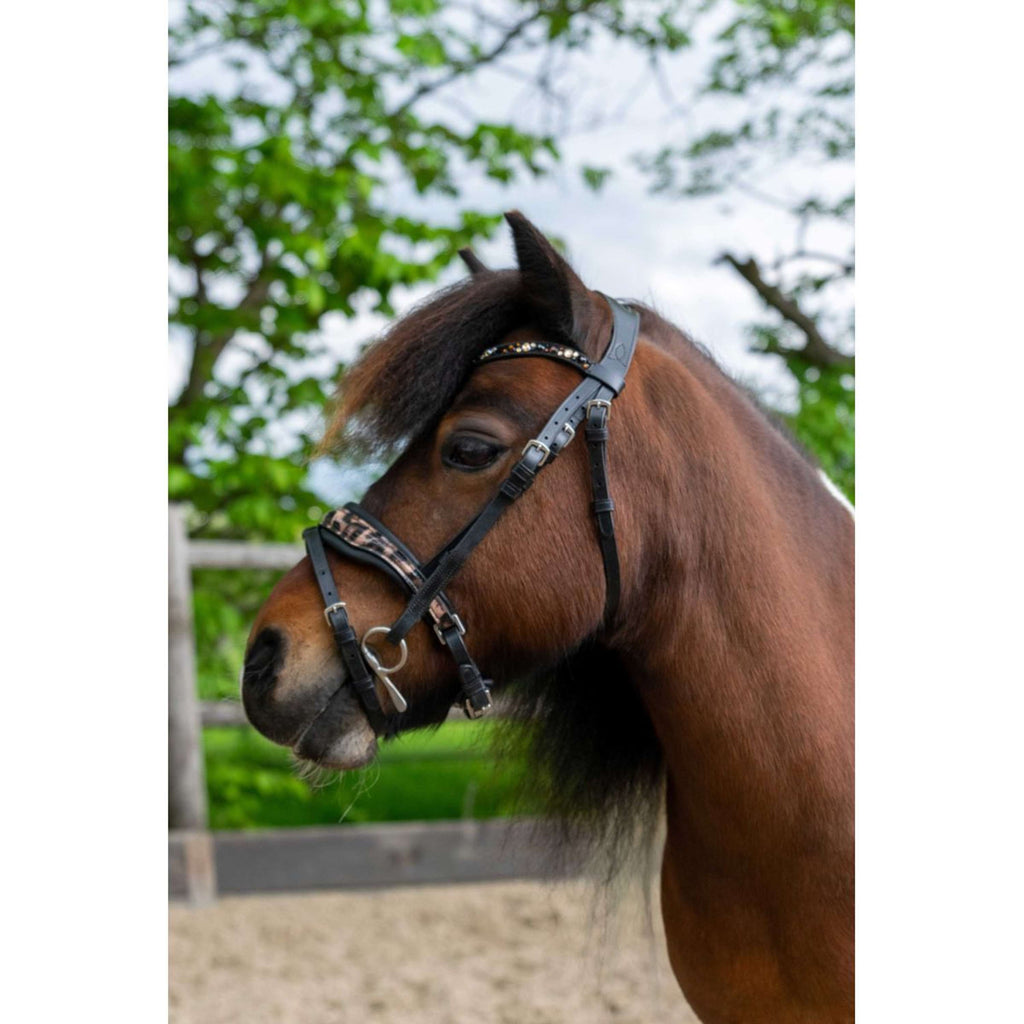 HB Ruitersport Zaum Showtime Leopard Schwarz