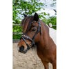 HB Ruitersport Zaum Showtime Leopard Schwarz