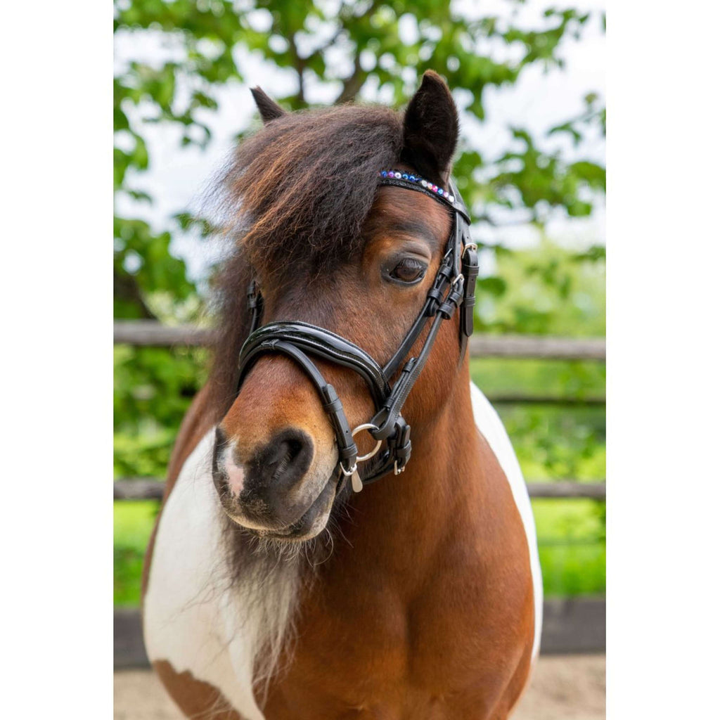 HB Ruitersport Zaum Showtime Petit Royal Schwarz