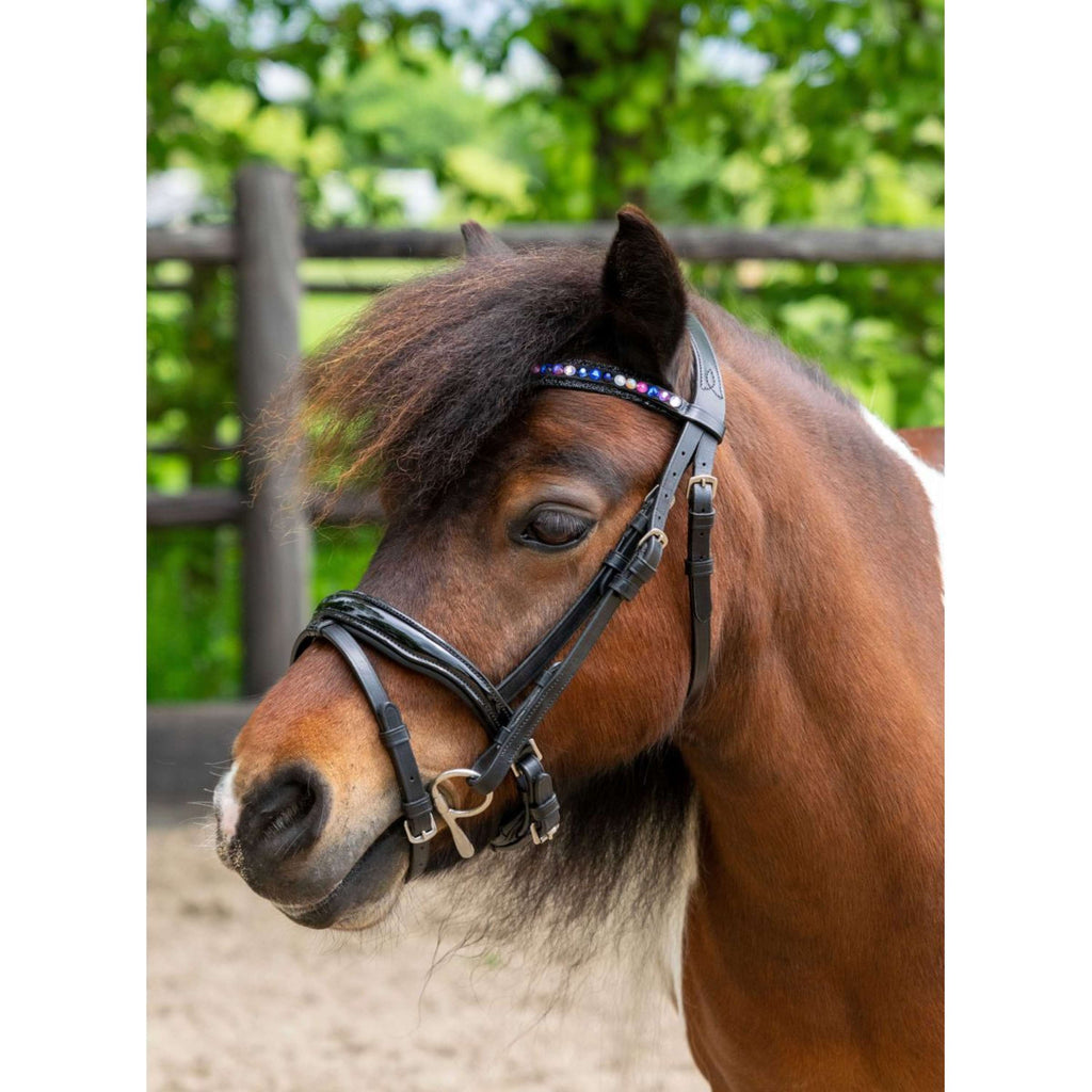 HB Ruitersport Zaum Showtime Petit Royal Schwarz