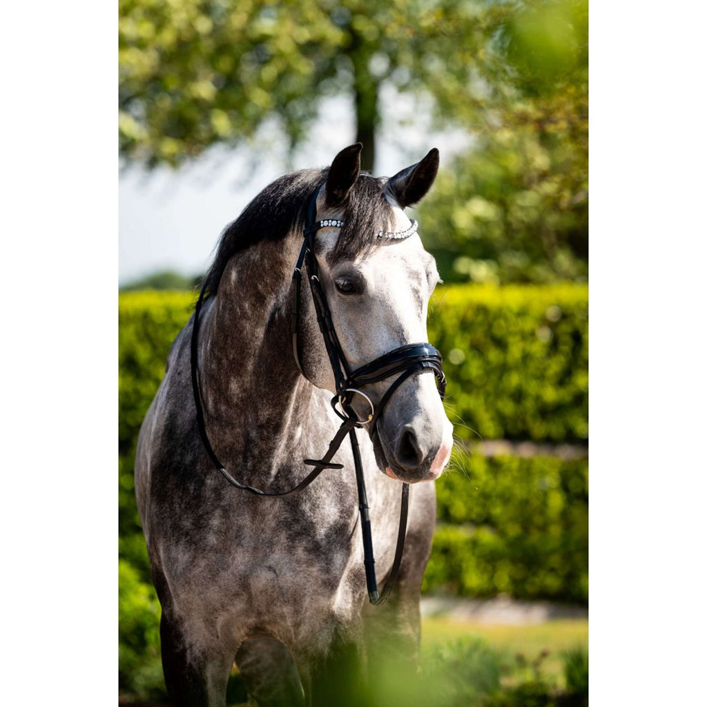 HB Ruitersport Zaum Showtime Ultimate Dream Schwarz