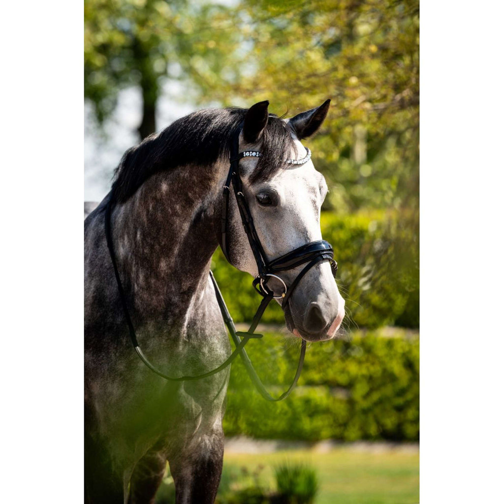 HB Ruitersport Zaum Showtime Ultimate Dream Schwarz