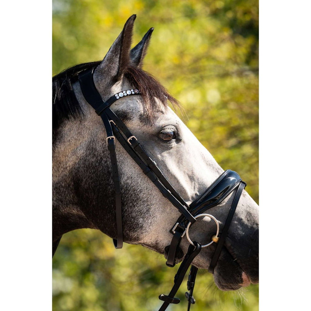 HB Ruitersport Zaum Showtime Ultimate Dream Schwarz