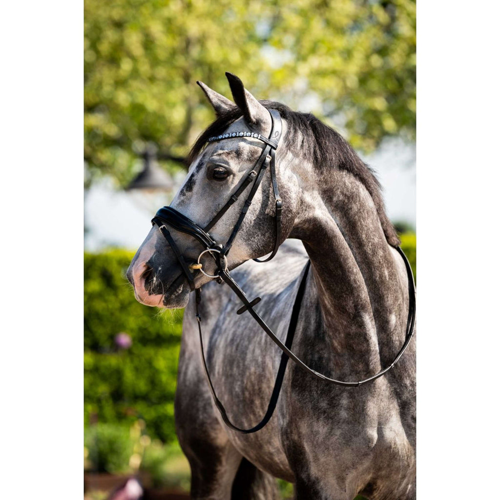 HB Ruitersport Zaum Showtime Ultimate Dream Schwarz