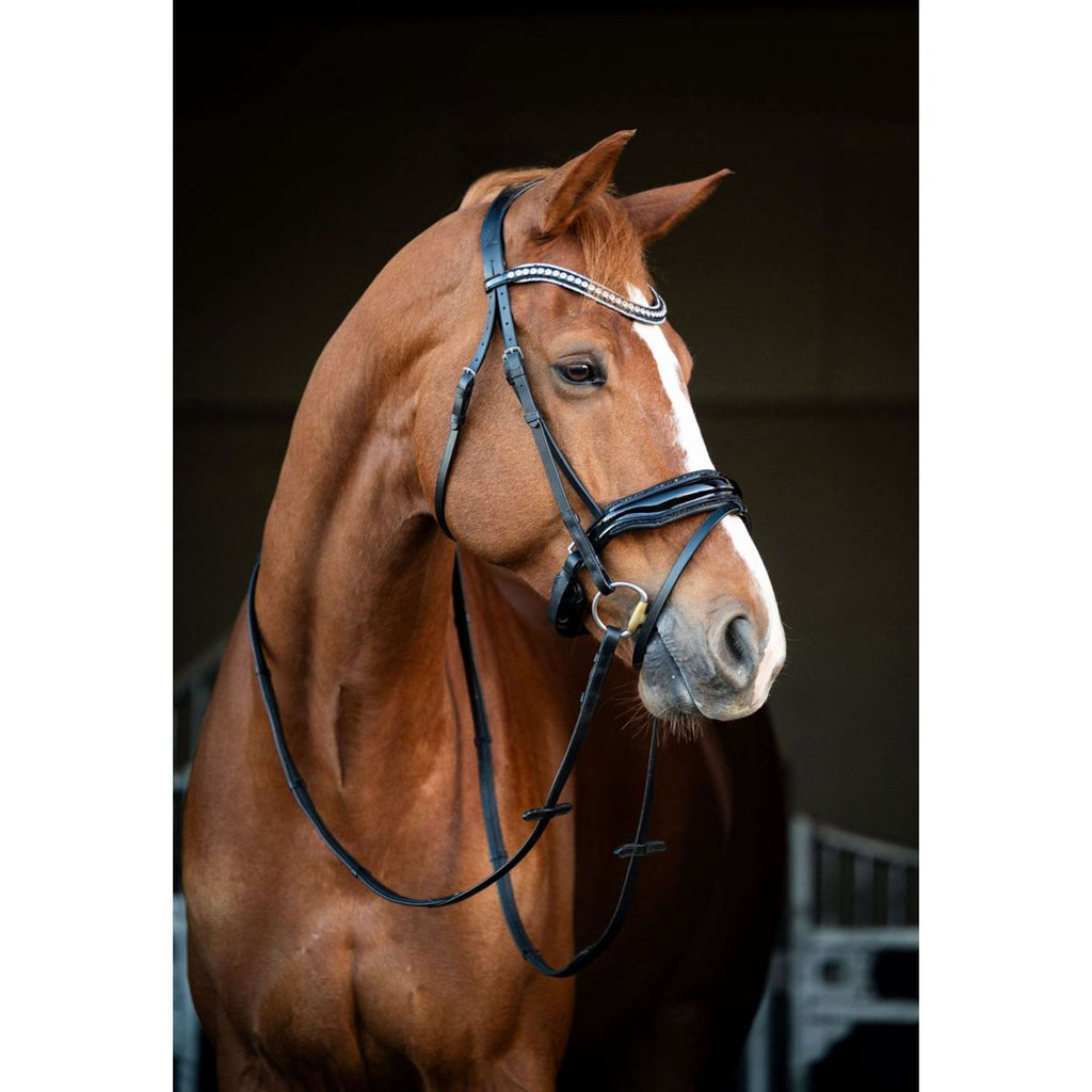 HB Showtime Zaum Snowflake Schwarz