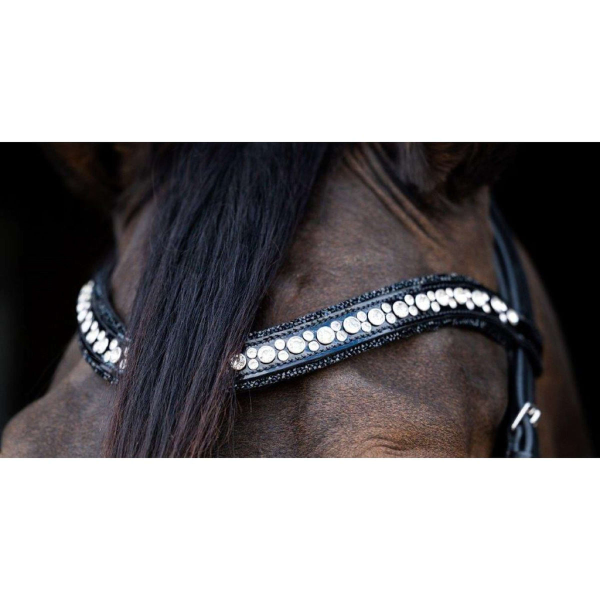 HB Ruitersport Stirnriemen Showtime To Nice Schwarz