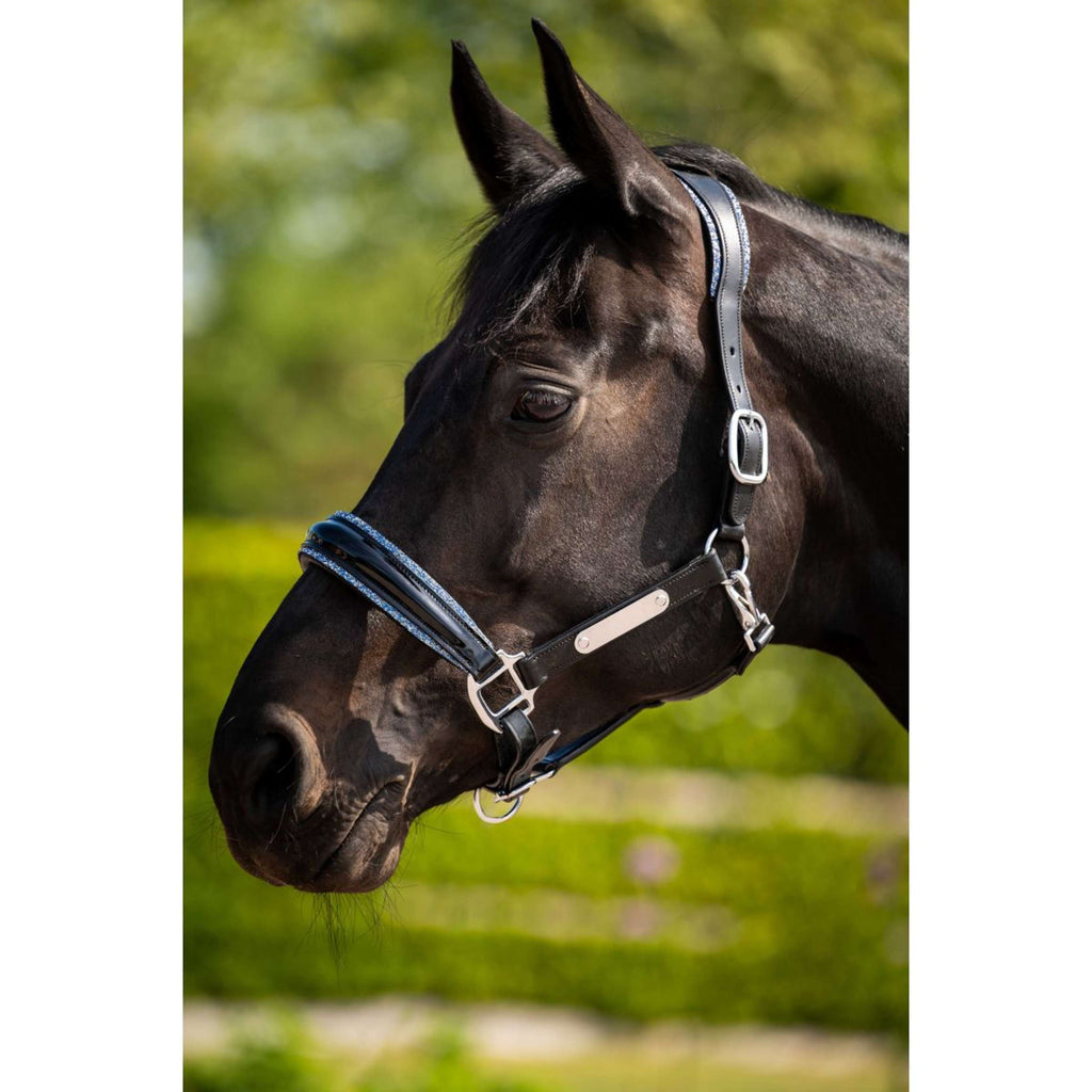 HB Ruitersport Halfter Showtime Grand Slam Schwarz/Aqua Blue