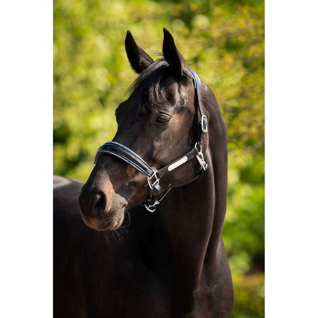 HB Ruitersport Halfter Showtime Grand Slam Schwarz/Aqua Blue