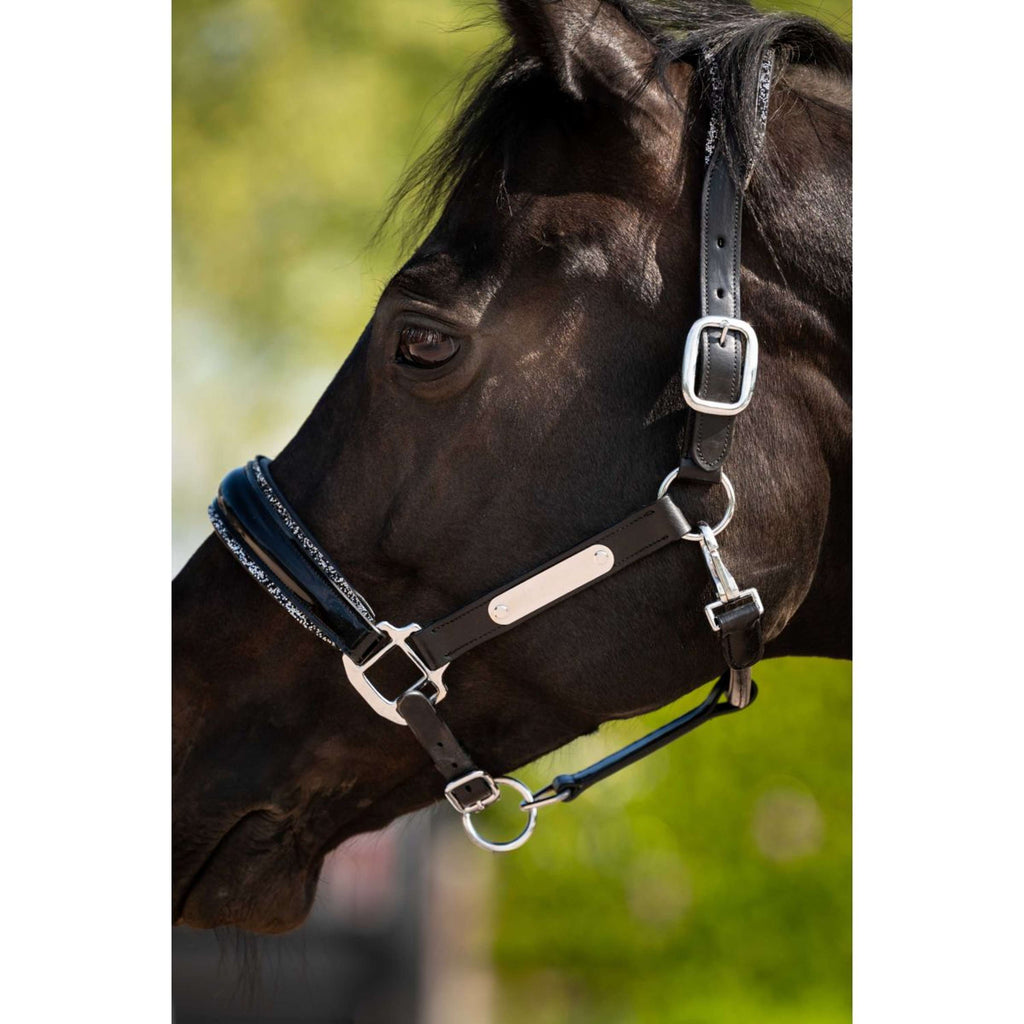 HB Ruitersport Halfter Showtime Grand Slam Schwarz/Silber