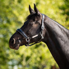 HB Ruitersport Halfter Showtime Grand Slam Schwarz/Silber