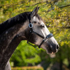 HB Ruitersport Halfter Showtime Grand Slam Schwarz/Schwarz