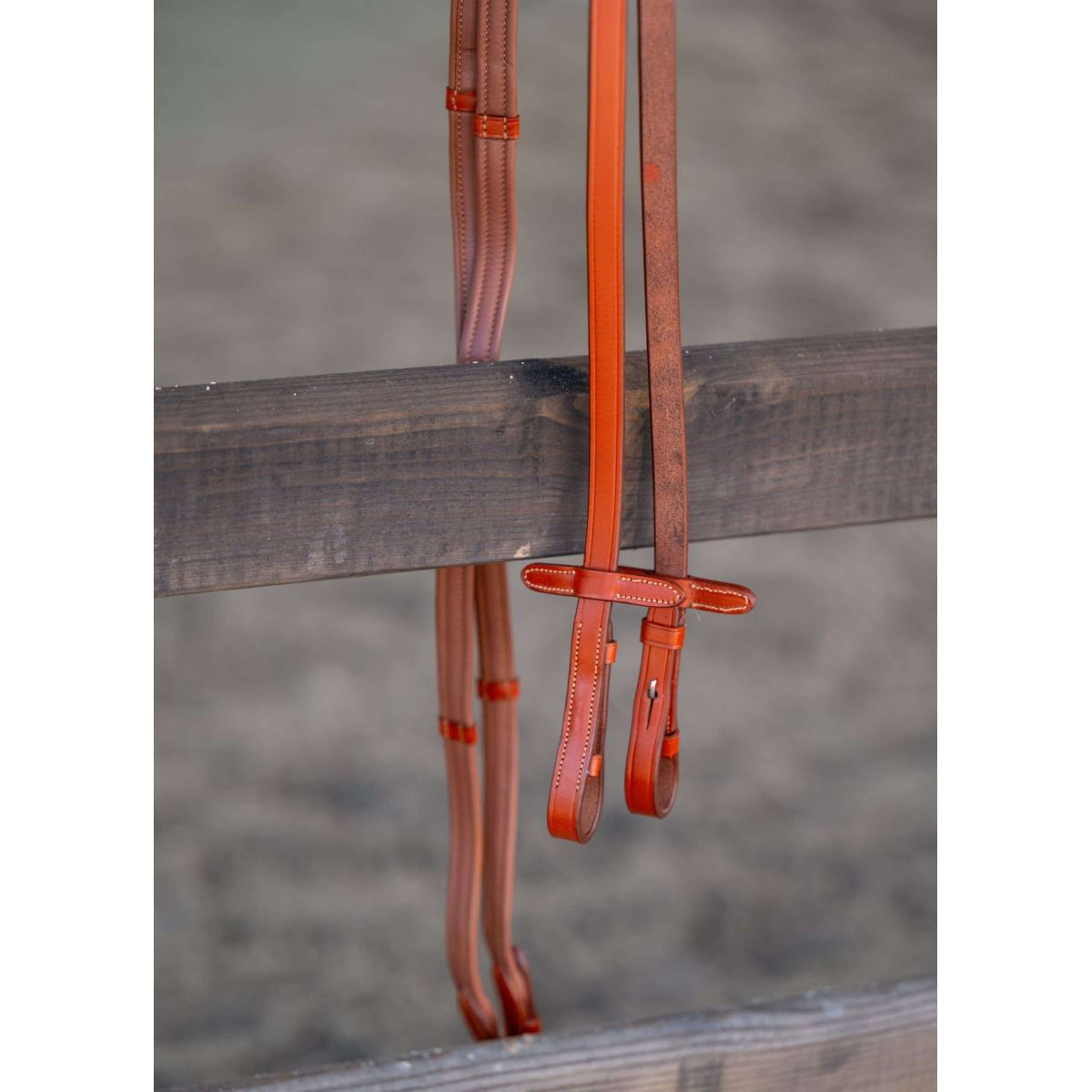HB Showtime Zügel Leder mit Stops Cognac HB Showtime Zügel Leder mit Stops Cognac