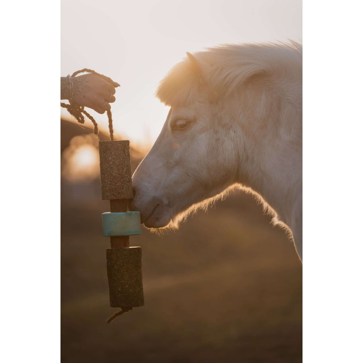 Herbie Kräuter-Holzspielzeug Breath