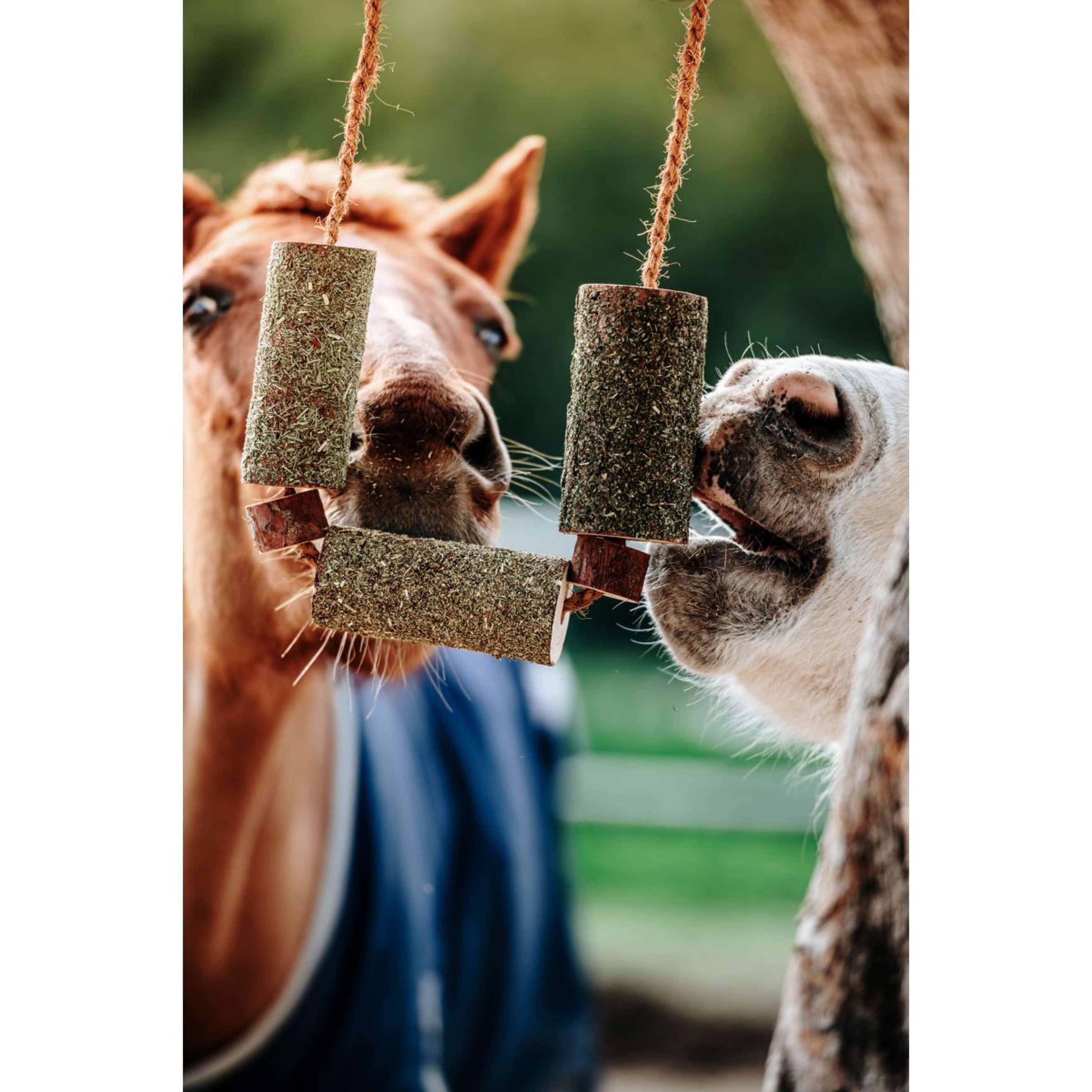 Herbie Kräuter-Holzspielzeug Calm