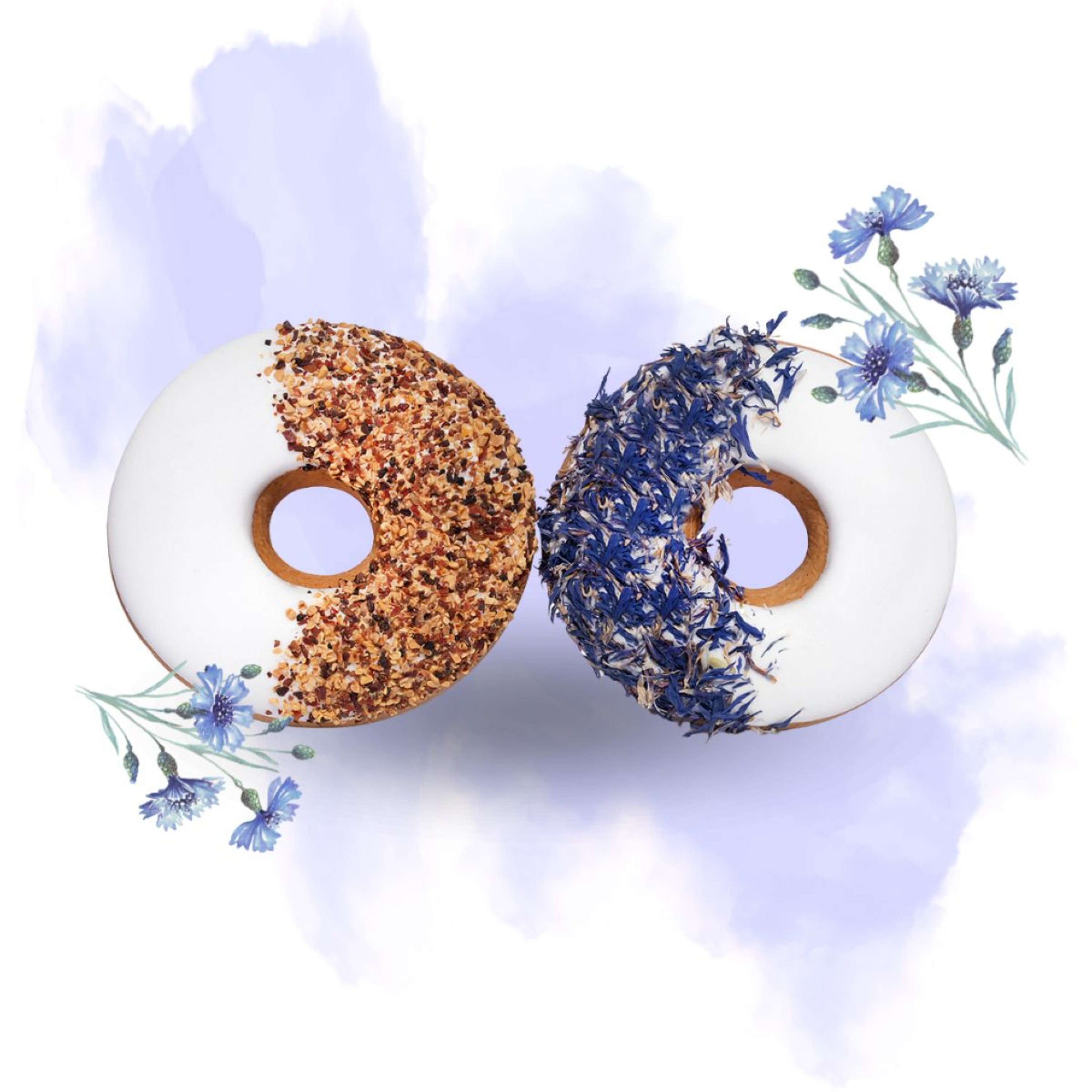 Candy Horse Donut Cornflower/Rosehip