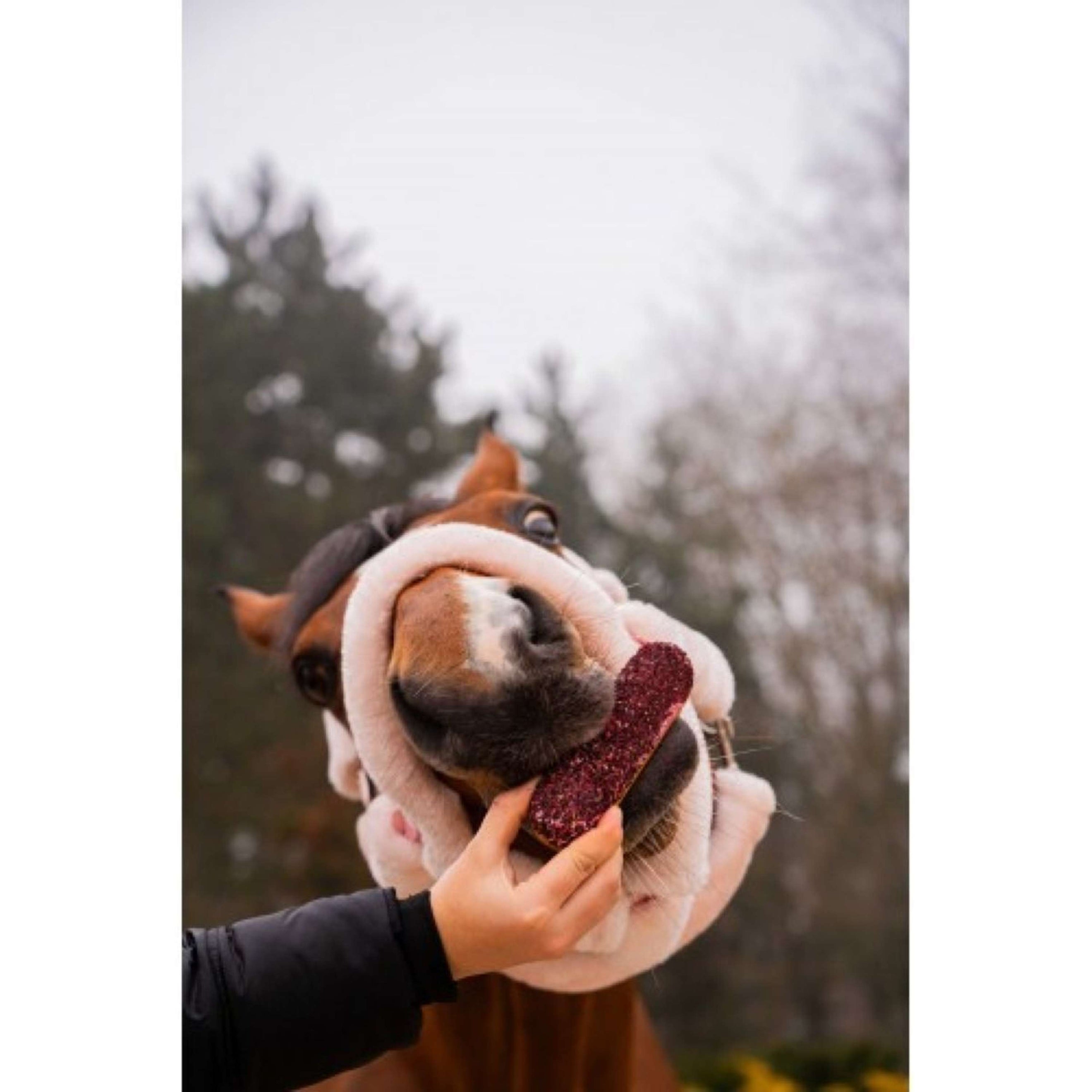 Candy Horse Love Kekse Hibiscus Eclair