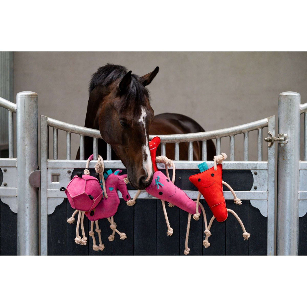 HB Horse Toy Round Carrot Rosa