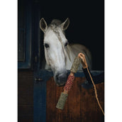 Herbie Kräuter-Holzspielzeug Immunity