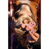 Candy Horse Love Set of Cookies Set 2