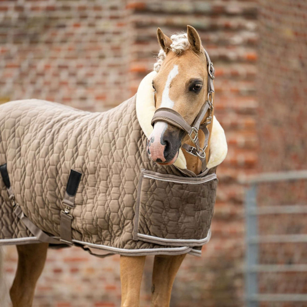 HB Ruitersport Showdecke Special Peach Taupe