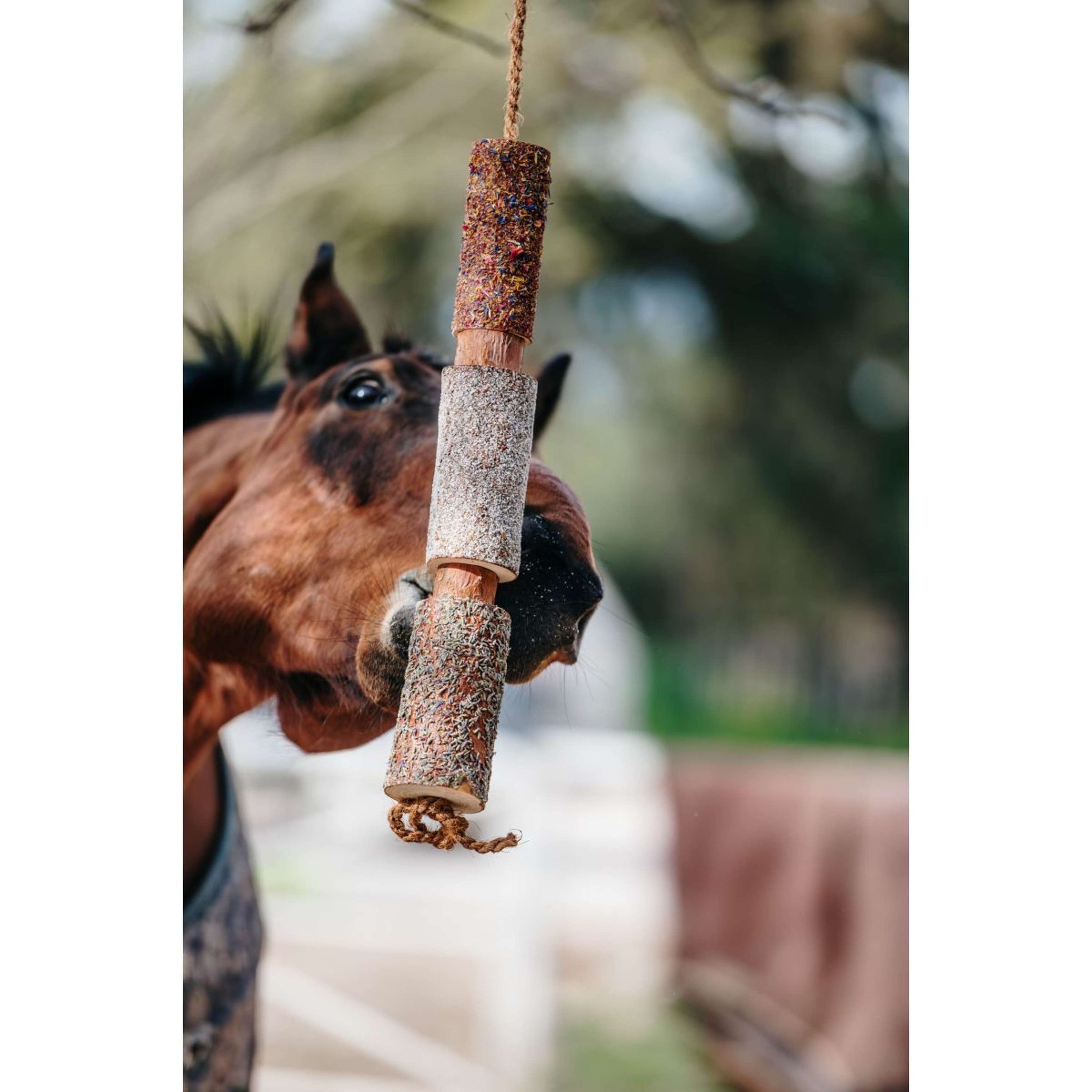 Herbie Kräuter-Holzspielzeug Relax Herbie Kräuter-Holzspielzeug Relax