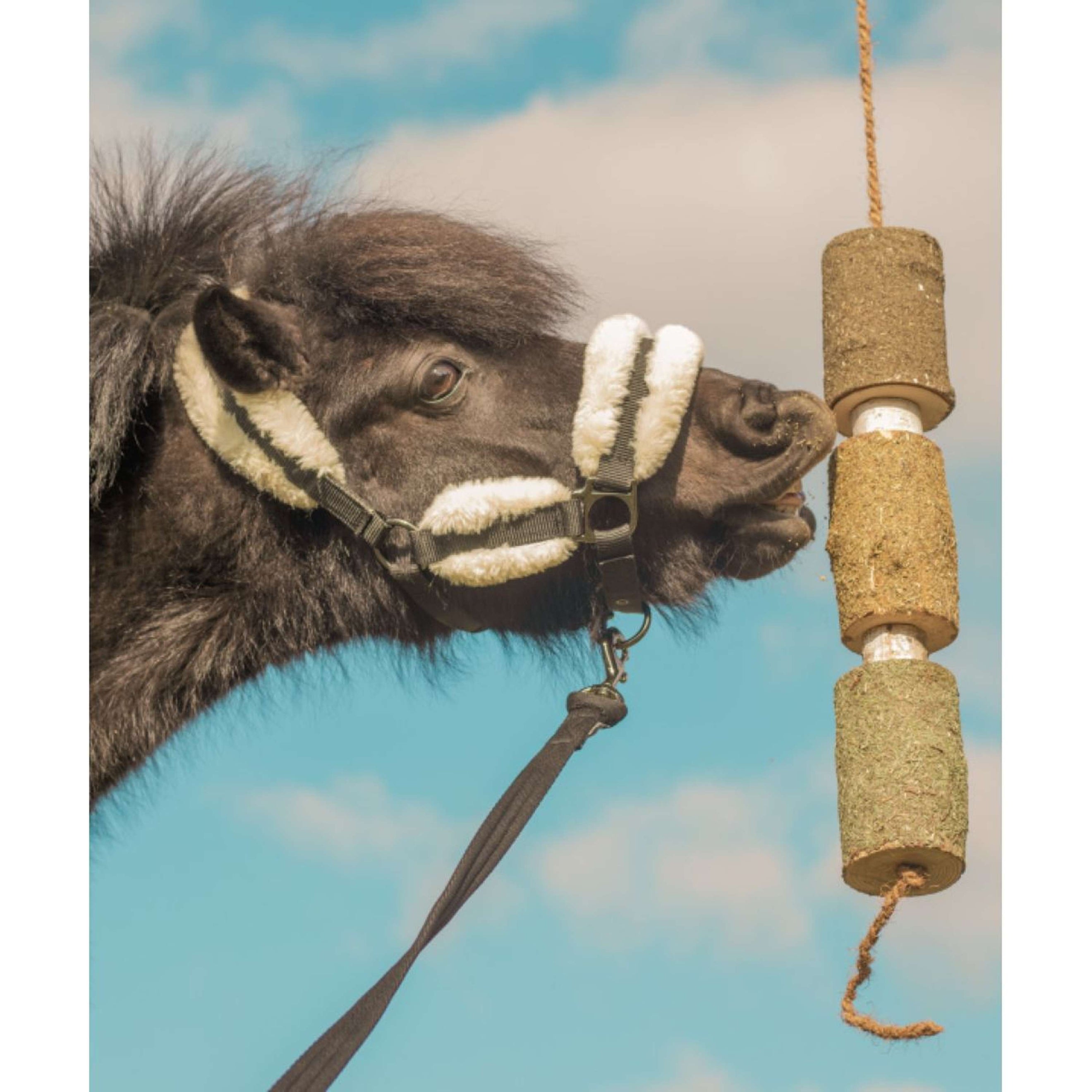 Herbie Kräuter-Holzspielzeug Regeneration