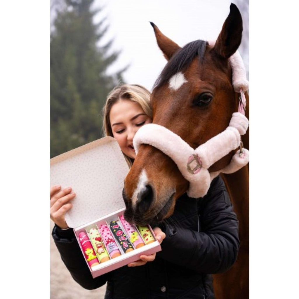 Candy Horse Love Kekse Icing Sticks
