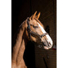 HB Halfter Showtime Glitty Braun/Golden Glitter