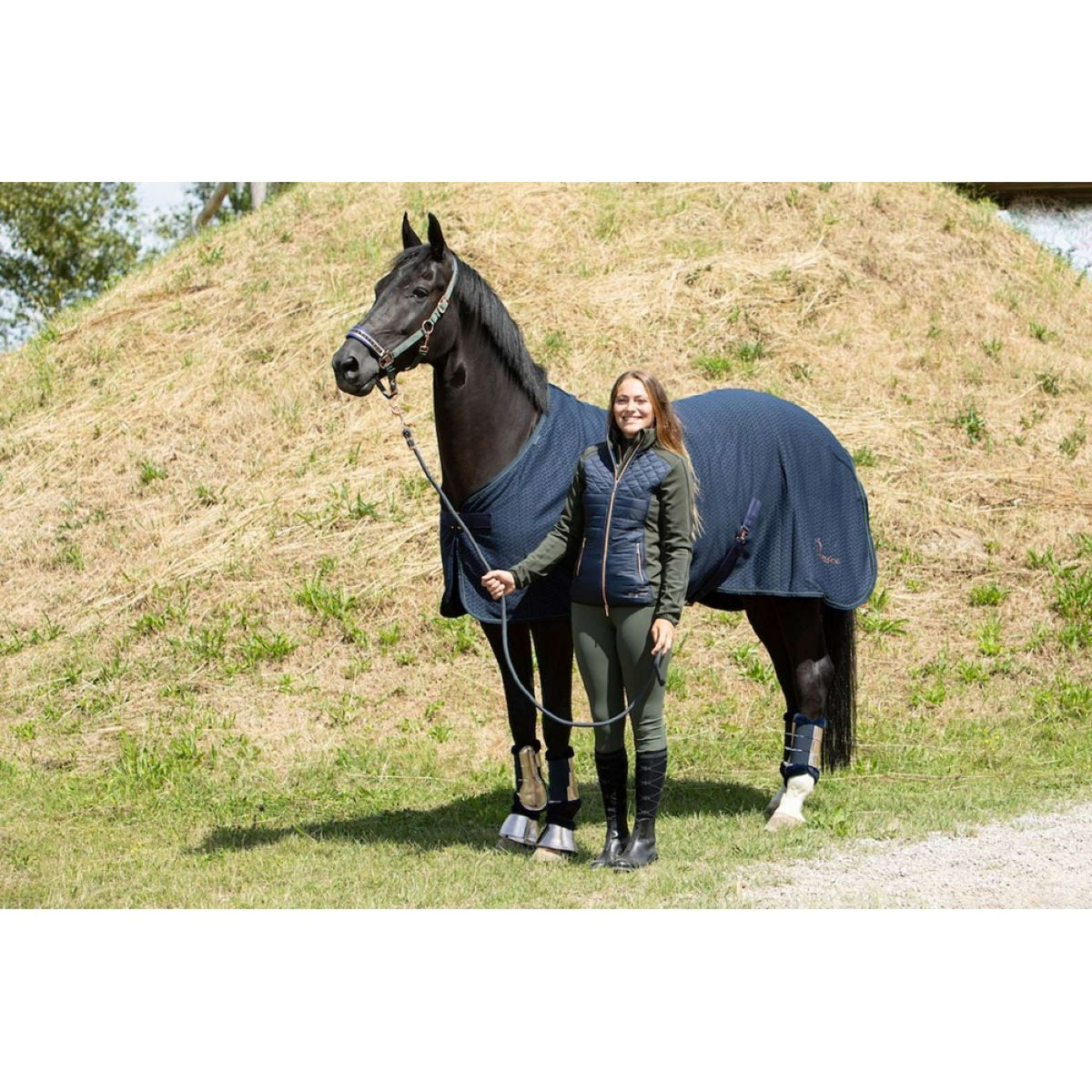 Harry's Horse Jack Denici Cavalli Bosque Navy