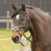 Harry's Horse Mexikanische Trense Schwarz