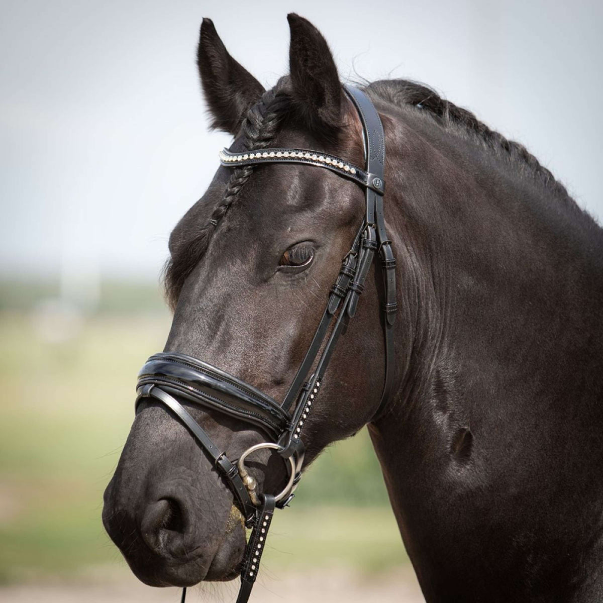 Harry's Horse Trensenzaum Diamond Lacque Schwarz