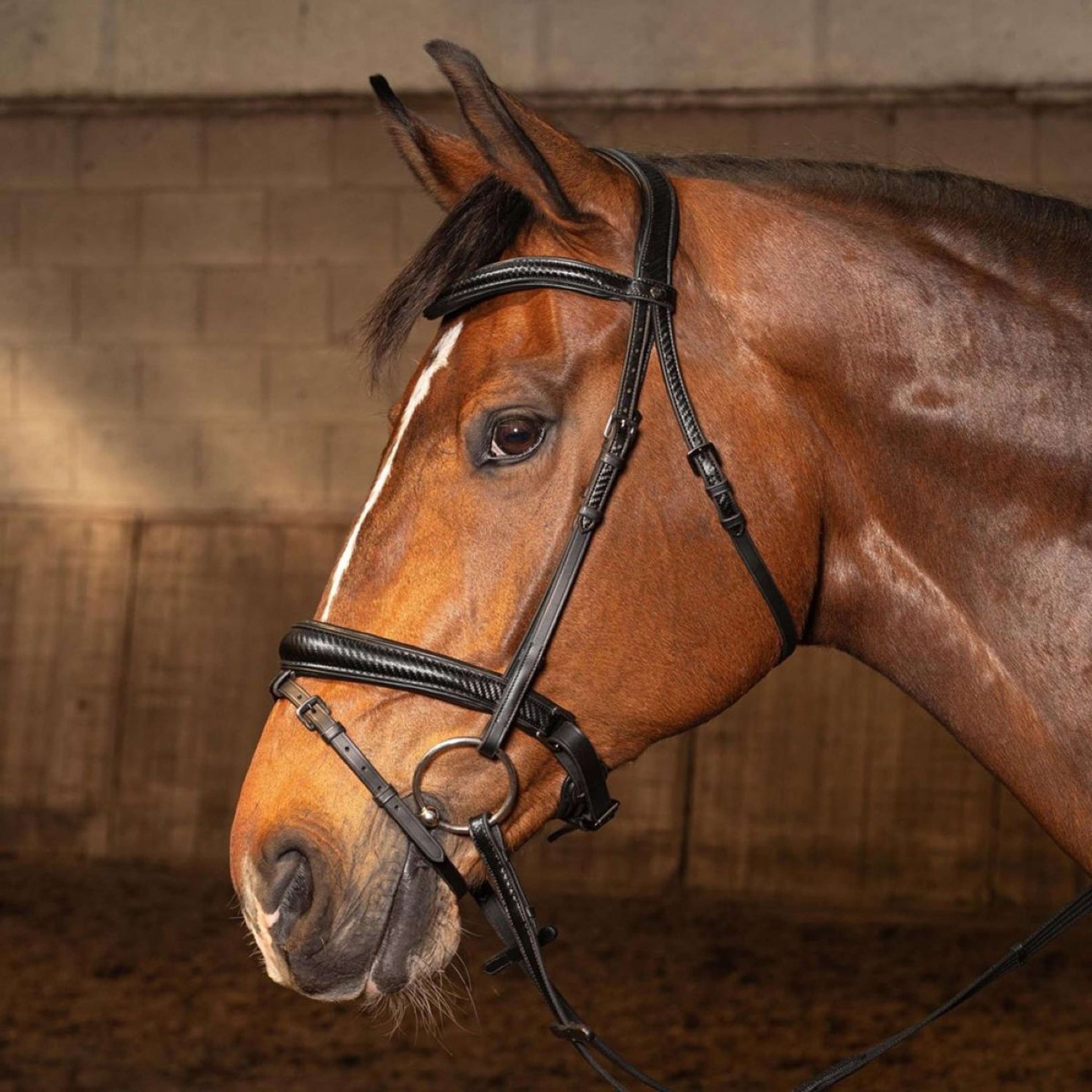 Harry's Horse Zaum Soft Carbon Black Edition Schwarz Harry's Horse Zaum Soft Carbon Black Edition Schwarz