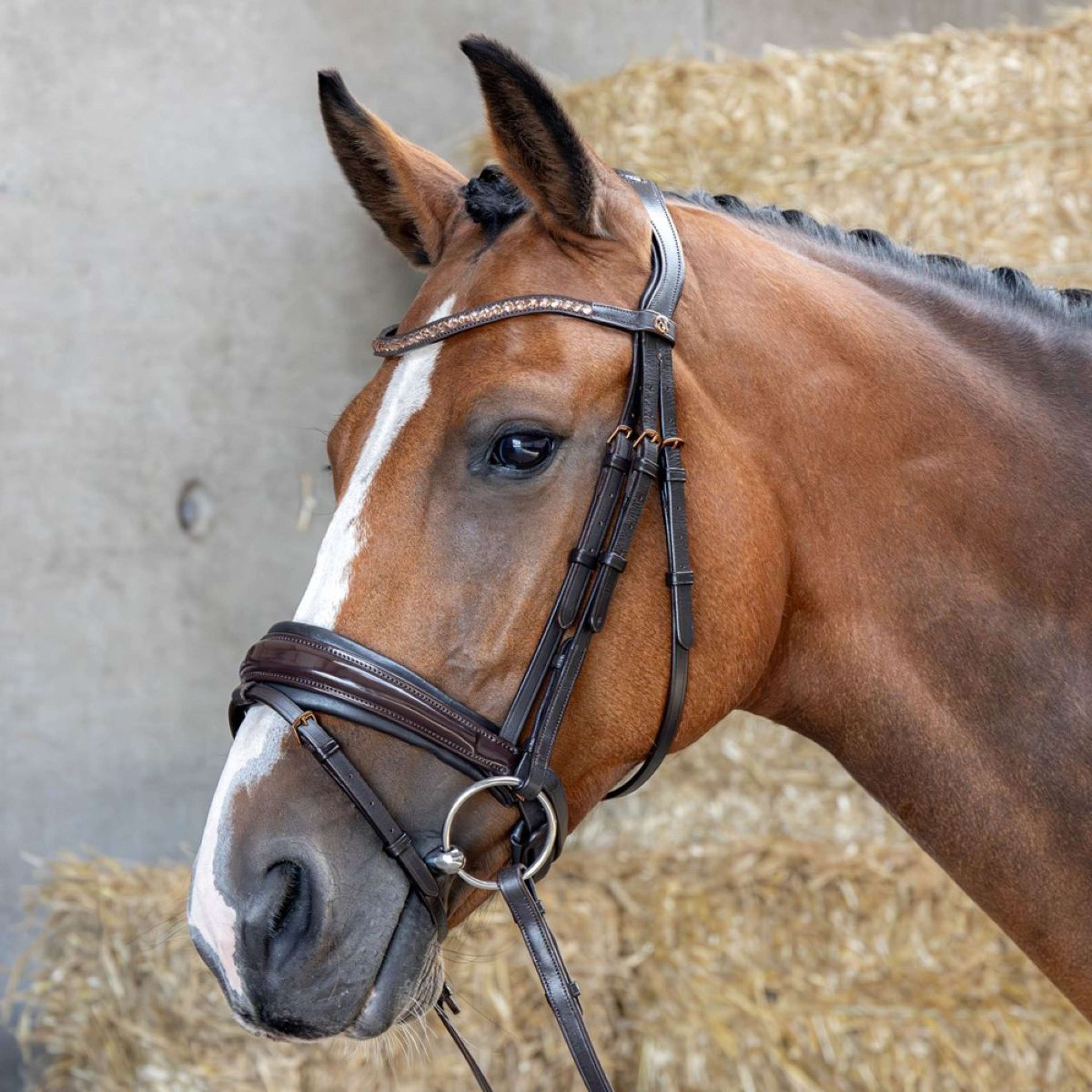 Harry's Horse Zaum Copper Braun