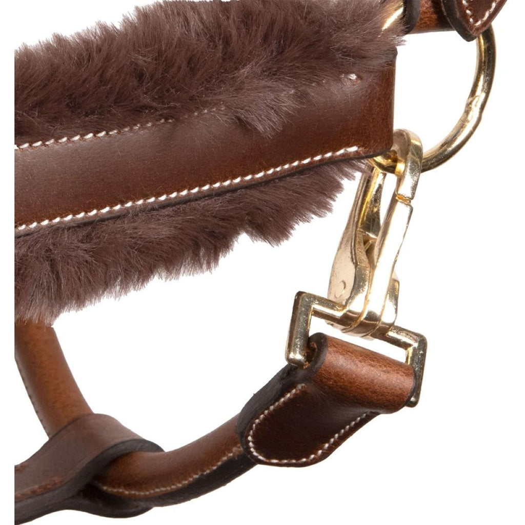 Harry's Horse Halfter Leder Anatomic Furry Matt Braun