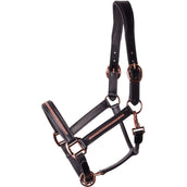 Harry's Horse Halfter Leder Metallic Schwarz/Roségold