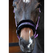 Harry's Horse Halfter Lyrics Quotes Lila