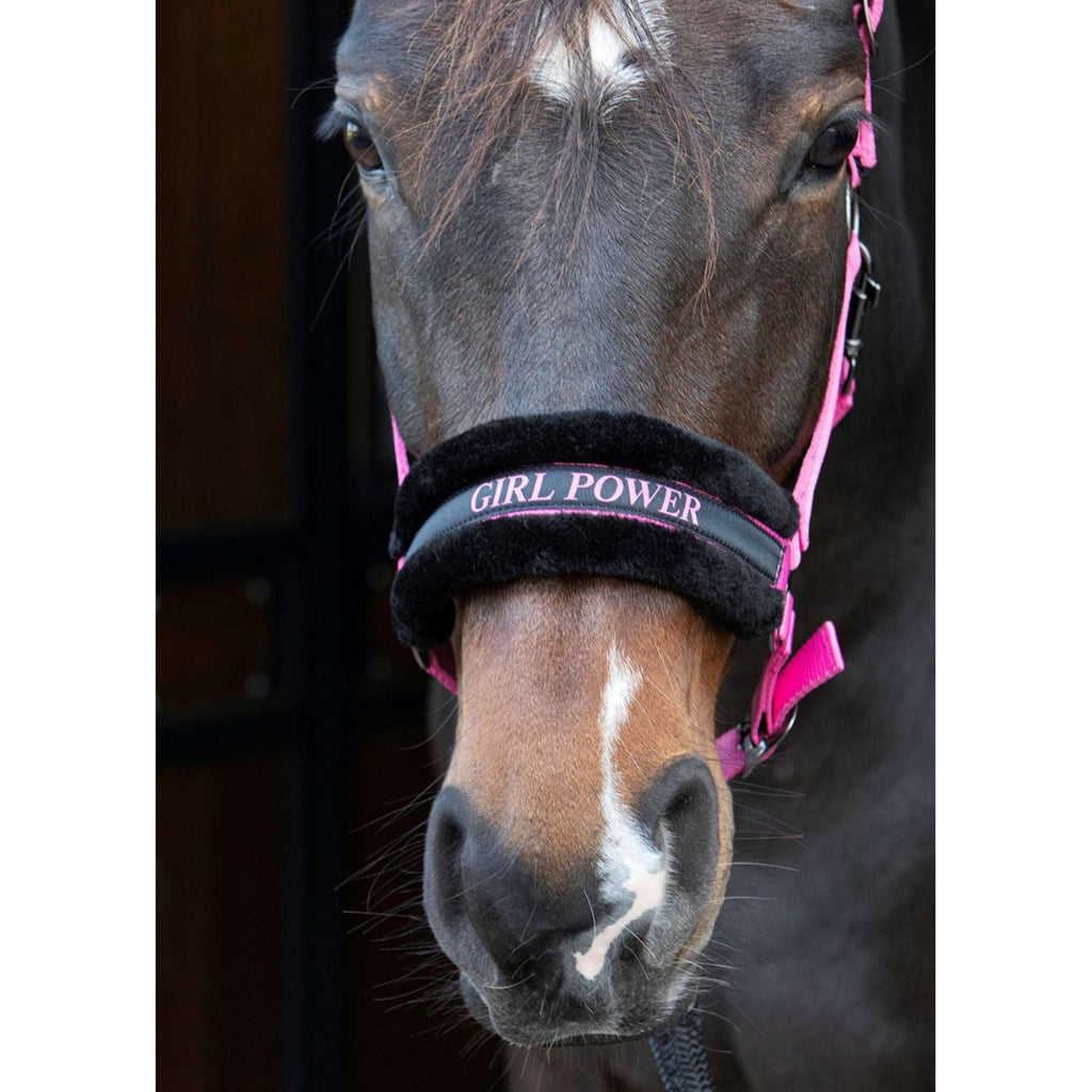 Harry's Horse Halfter Lyrics Quotes Rosa