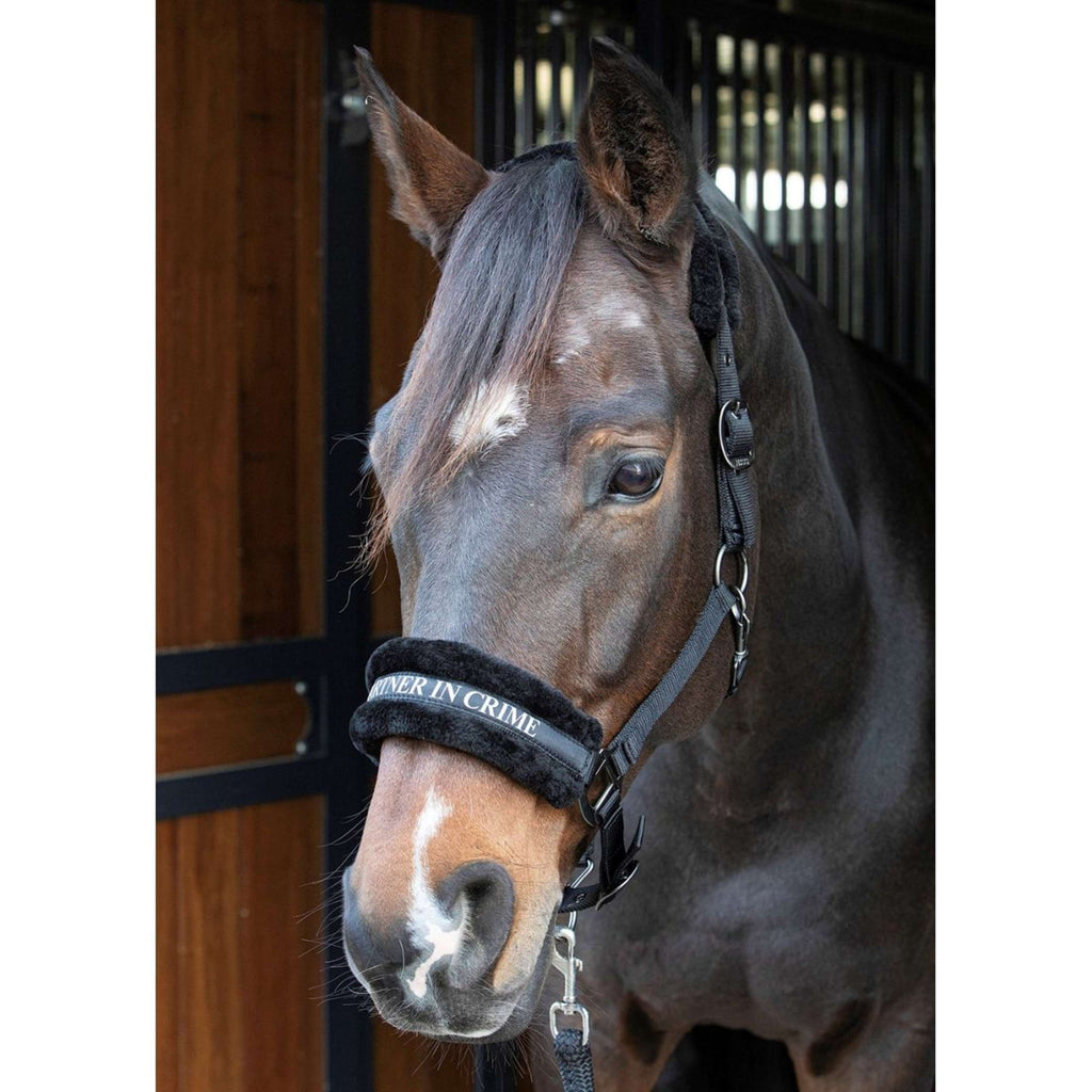 Harry's Horse Halfter Lyrics Quotes Schwarz