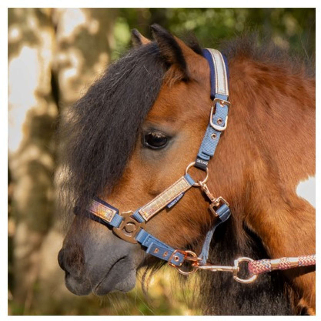 Harry's Horse Halfterset Diva Mauvewood Faded-Denim