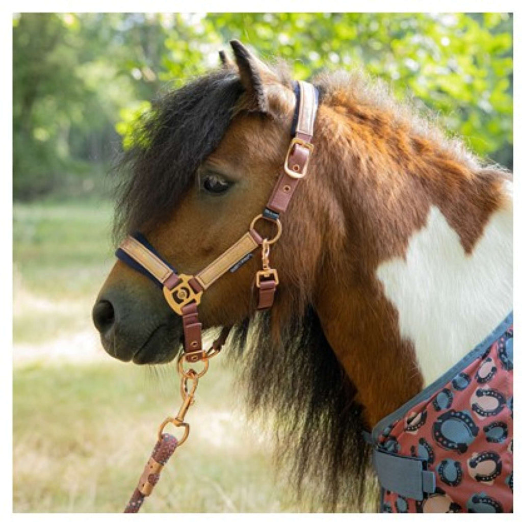 Harry's Horse Halfterset Diva Mauvewood Mauvewood