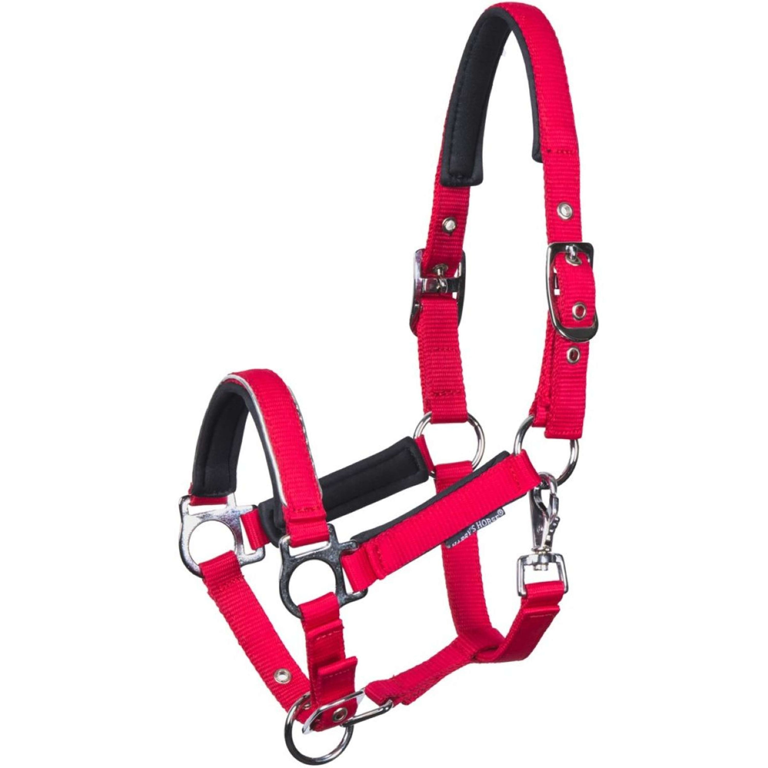 Harry's Horse Fohlenhalfter Metal Barberry