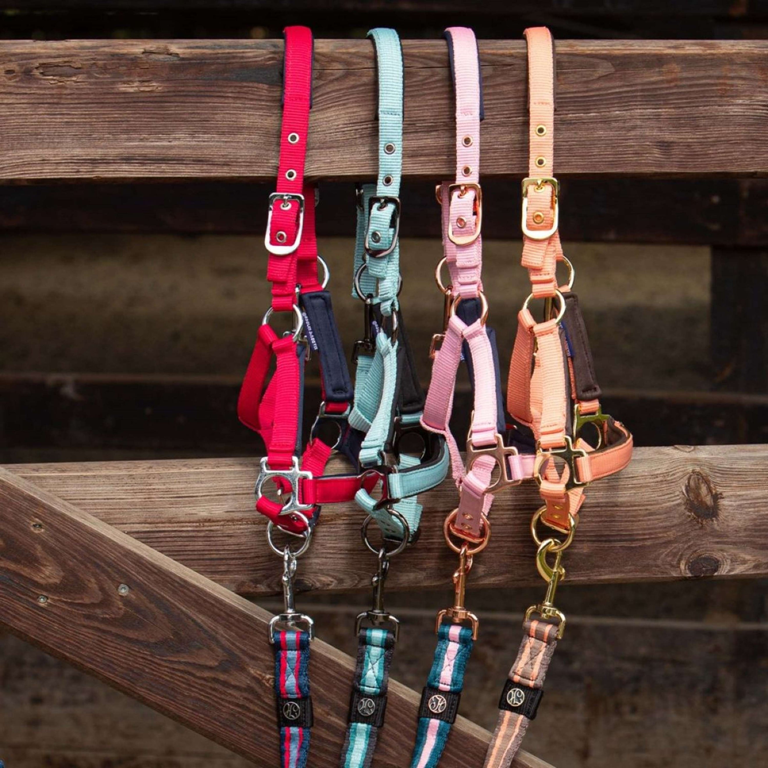 Harry's Horse Fohlenhalfter Metal Cadmium Orange Harry's Horse Fohlenhalfter Metal Cadmium Orange